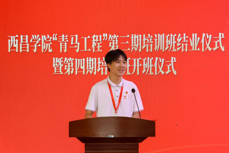 图片7