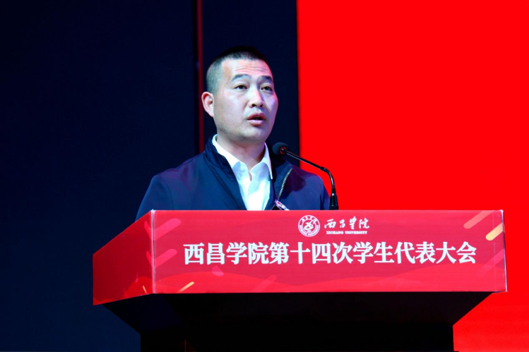 图片21